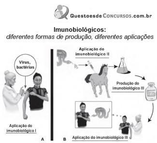 imagem-051.jpg