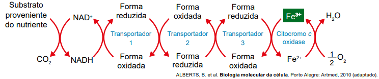 Imagem associada para resolução da questão
