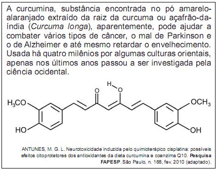 imagem-retificada-texto-018.jpg