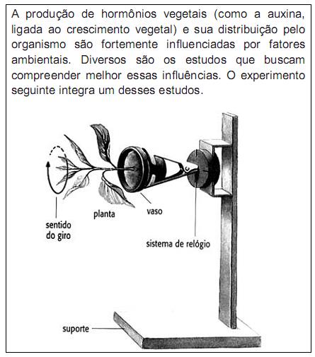 imagem-retificada-texto-009.jpg
