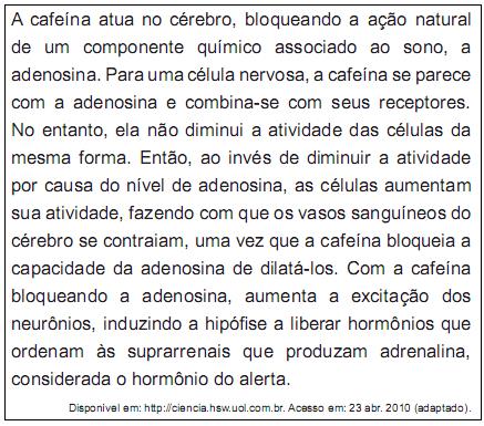 imagem-retificada-texto-016.jpg