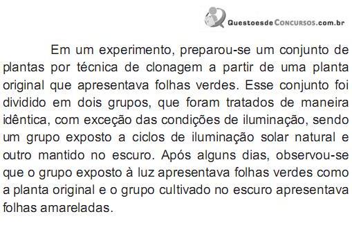 Imagem 004.jpg