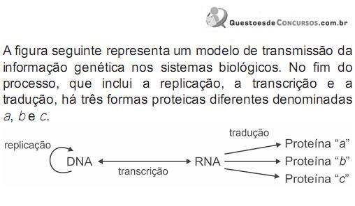 Imagem 016.jpg