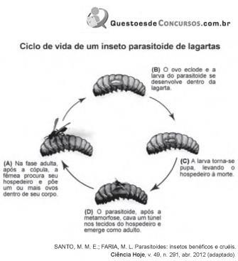 imagem-048.jpg