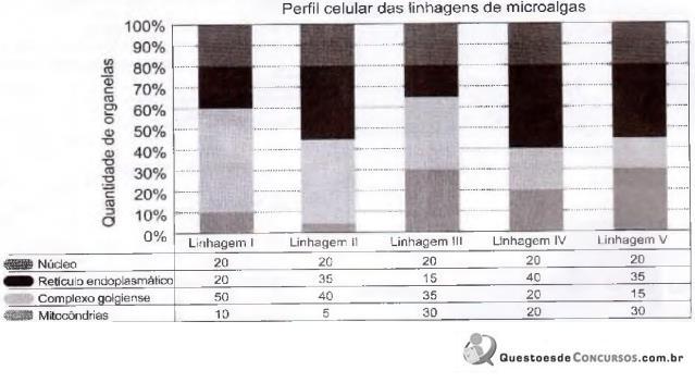 imagem-043.jpg