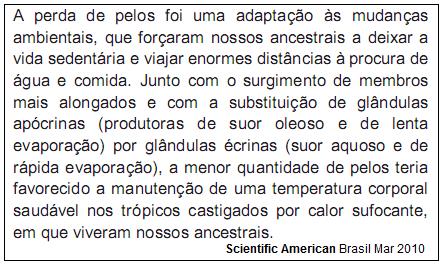 imagem-retificada-texto-008.jpg
