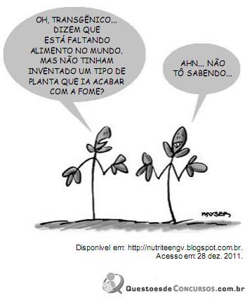 Imagem 035.jpg